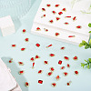 48Pcs 12 Styles Alloy Rhinestone Cabochons MRMJ-TA0001-45B-6