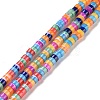 Natural Trochid Shell Beads Strands SSHEL-G023-02C-02-1