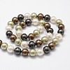 Shell Pearl Bead Strands X-BSHE-L017-18-2