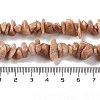 Natural Sunstone Chip Beads Strands G-M205-15B-5