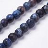 Natural Silver Leaf Jasper Beads Strands G-K181-6mm-O02-1