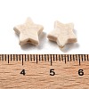Crackle Opaque Acrylic Beads OACR-Z026-06B-3