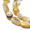 Natural Yellow Shell Beads Strands SSHEL-H072-08-3
