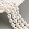Natural Cultured Freshwater Pearl Beads Strands PEAR-P062-08G-1