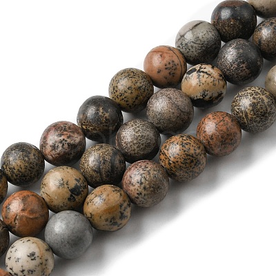 Natural Dendritic Jasper Beads Strands G-E598-01-1