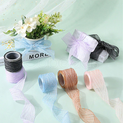 Polyester Pleated Ribbons SRIB-WH20020-005I-1