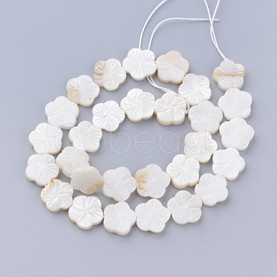 Natural Freshwater Shell Bead Strands SHEL-T001-A01-1