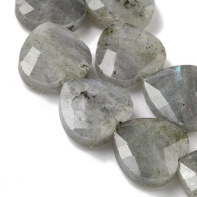 Natural Labradorite Beads Strands G-A309-A09-01-1
