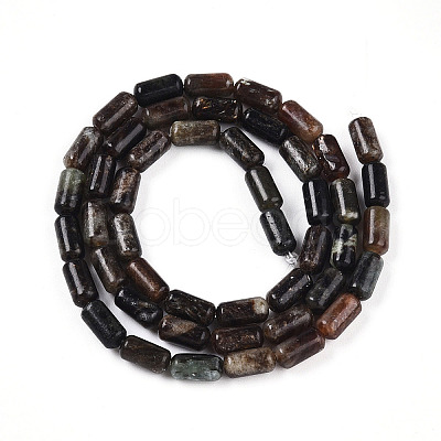 Natural Biotite Beads Strands G-N346-01A-02-1
