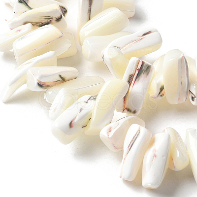 1 Strand Dyed Natural Trochus Shell Beads Strands SSHEL-PA0001-01B-1
