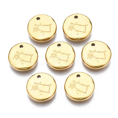 316 Surgical Stainless Steel Charms LS-STAS-S116-418E-G-1