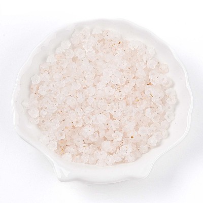 Frosted Transparent Acrylic Beads X-OACR-N137-72A-1