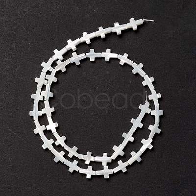 Natural Trochid Shell/Trochus Shell Beads SSHEL-O0001-22B-1