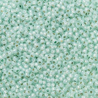 TOHO Round Seed Beads SEED-TR11-PF2118-1