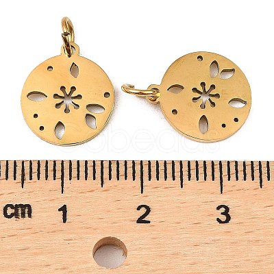 304 Stainless Steel Charms STAS-D050-07G-14-1