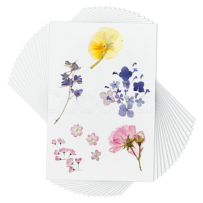 Dried Embossed Paper DIY-WH0622-646D-1
