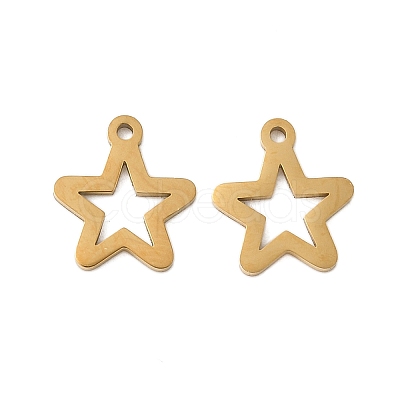 304 Stainless Steel Charms STAS-K306-06A-G-1