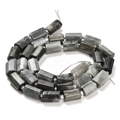 Natural Eagle Eye Stone Beads Strands G-G068-A24-01-1