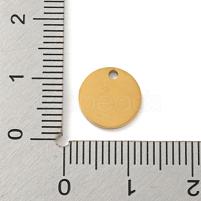 Ion Plating(IP) 304 Stainless Steel Pendants FIND-M017-02G-K-1