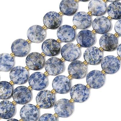 Natural Blue Spot Jasper Beads Strands G-A292-A10-01-1