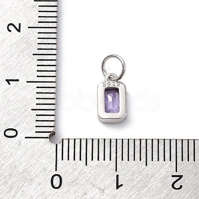 925 Sterling Silver Cubic Zirconia Charms STER-NH0014-01P-02-1