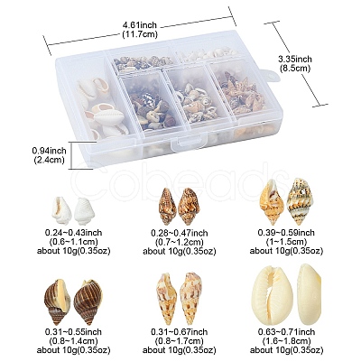 6 Styles Natural Mixed Cowrie Shell Beads Sets BSHE-YW0001-05-1