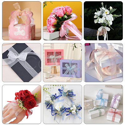 1 Rolls Sheer Organza Ribbon SRIB-CY0001-22C-09-1