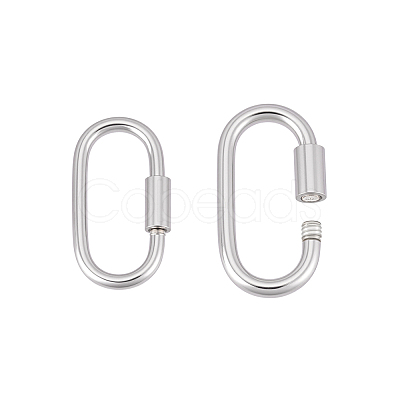 2Pcs 2 Styles 925 Sterling Silver Locking Carabiner Clasps STER-PH0003-92-1