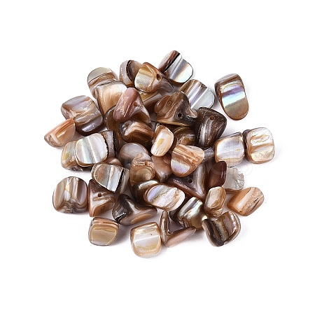Natural Freshwater Shell Beads SHEL-ZX009-12-1