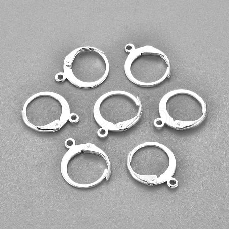 304 Stainless Steel Leverback Earring Findings STAS-F155-13S-1