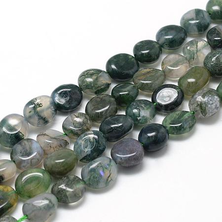 Natural Moss Agate Beads Strands G-R445-8x10-01-1