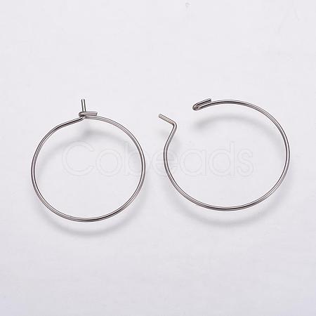 316 Surgical Stainless Steel Hoop Earrings Findings STAS-K146-039-20mm-1