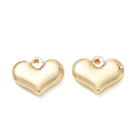 304 Stainless Steel Charms SA-CBA3037-20G-13-1