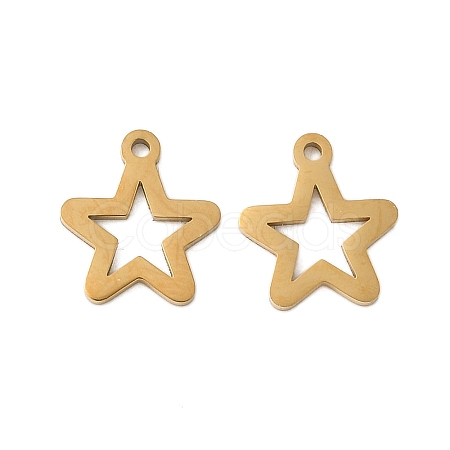 304 Stainless Steel Charms STAS-K306-06A-G-1