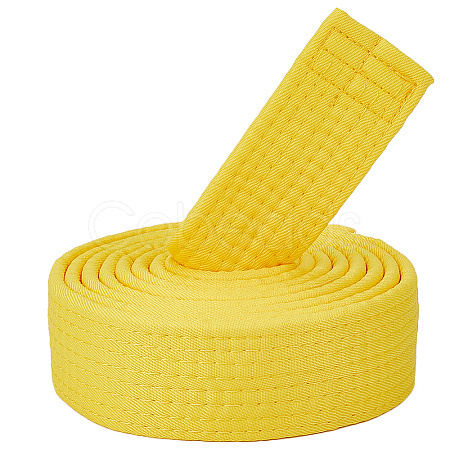 Taekwondo Belt AJEW-WH20022-73B-03-1