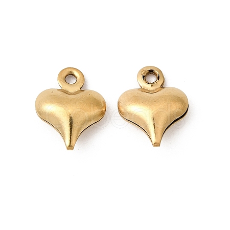 304 Stainless Steel Pendants STAS-G389-02G-05-1