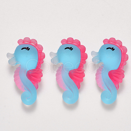Translucent Frosted Resin Cabochons CRES-N022-10-1