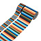 2 Rolls 2 Styles Stripe Pattern Printed Polyester Grosgrain Ribbon, for DIY Bowknot Accessories, Colorful, 1roll/style