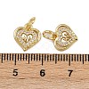 Brass Micro Pave Cubic Zirconia Pendants ZIRC-I367-05G-08-3