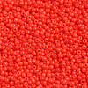 11/0 FGB Grade A Round Glass Seed Beads SEED-N001-A-1068-2