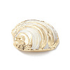 Natural Sea Shell Pendants SHEL-F005-06LG-4
