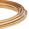 Half Round Brass Wire for Jewelry Making CWIR-WH0003-02G-1