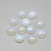 Opalite Cabochons X-G-R416-16mm-49-1