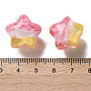 Gradient Color Transparent Hand-drawed Acrylic Beads TACR-P012-01B-07-3