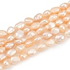 Natural Cultured Freshwater Pearl Beads Strands PEAR-P064-20G-03D-2