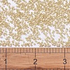 MIYUKI Delica Beads SEED-JP0008-DB0621-4