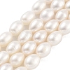 Natural Cultured Freshwater Pearl Beads Strands PEAR-P062-10F-2