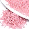 FGB 11/0 Grade A Baking Paint Glass Seed Beads X-SEED-S030-1143-1