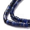 Natural Sodalite Beads Strands G-P468-19-4