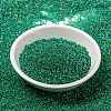 MIYUKI Round Rocailles Beads SEED-JP0010-RR0354-2